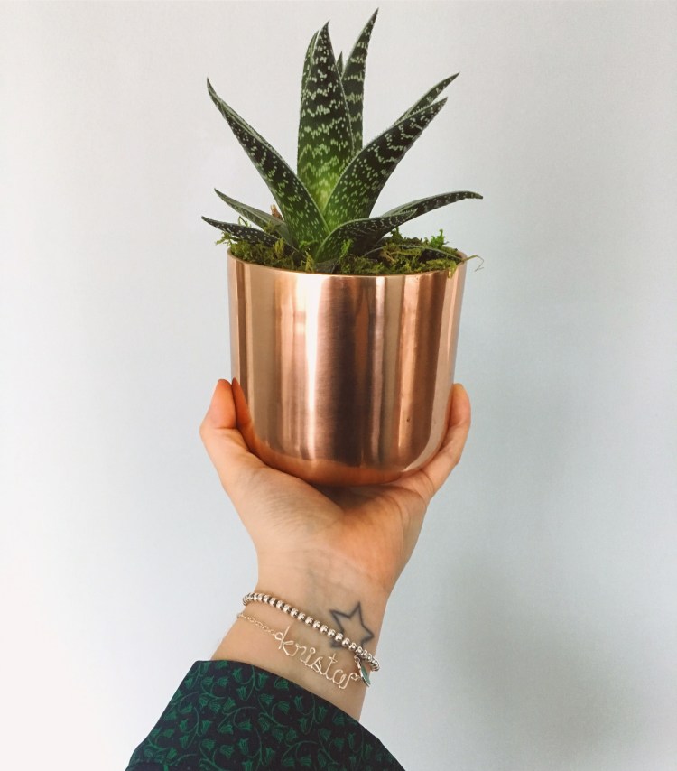 target succulent copper pot